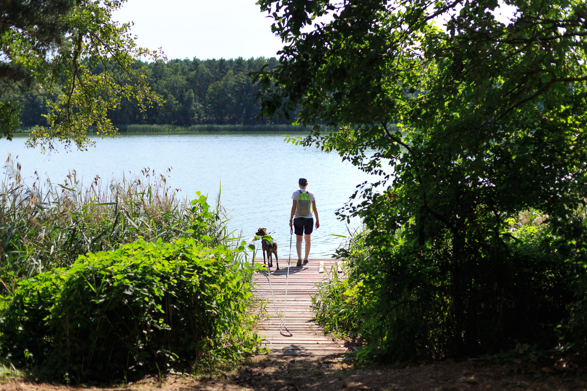 Przemęcki Park Krajobrazowy: Jezioro Olejnickie i jezioro Radomierskie